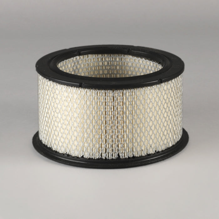 Donaldson Air Filter P500245
