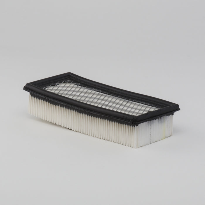 Donaldson Air Filter P637259