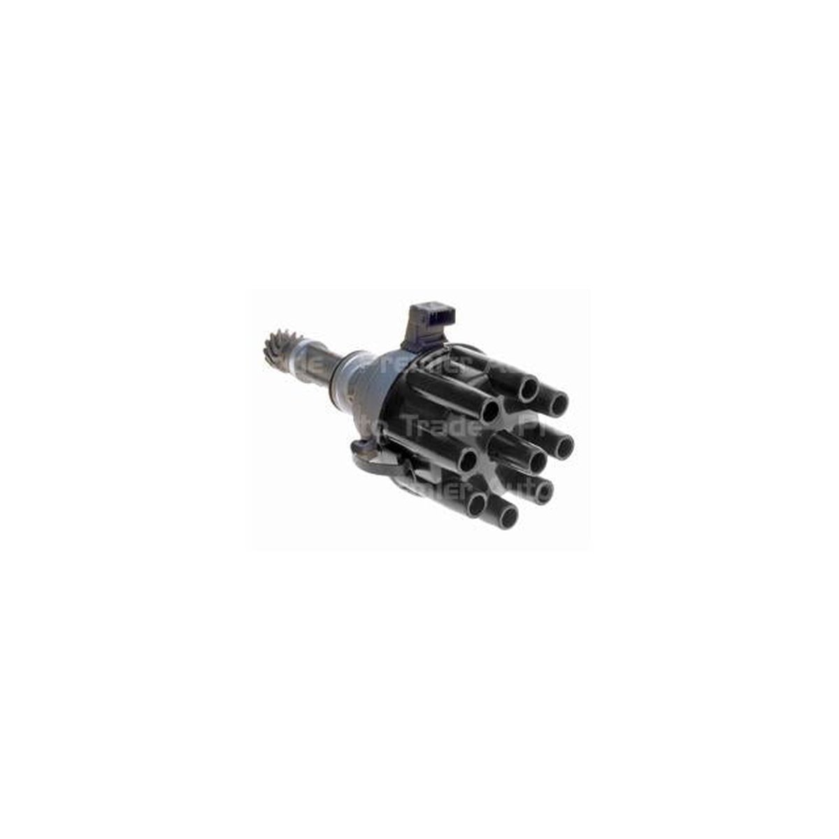 PAT Ignition Distributor (Suits Black Plug) DIS-008A