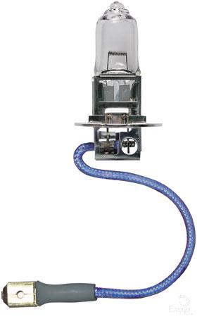 Philips Standard H3 Globe 12V 100W 12455