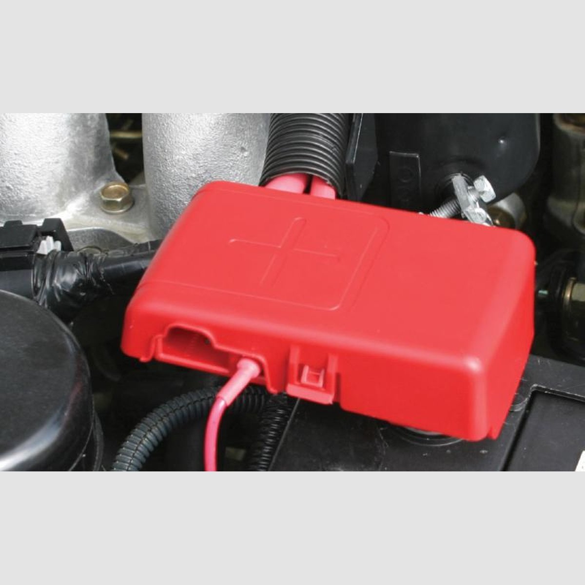 PROJECTA Battery Terminal Fused Positive BT950-P1
