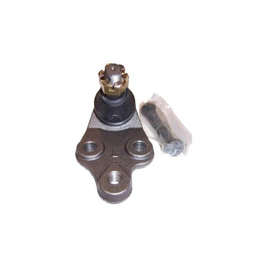 Protex Ball Joint Front RH Lower BJ2700