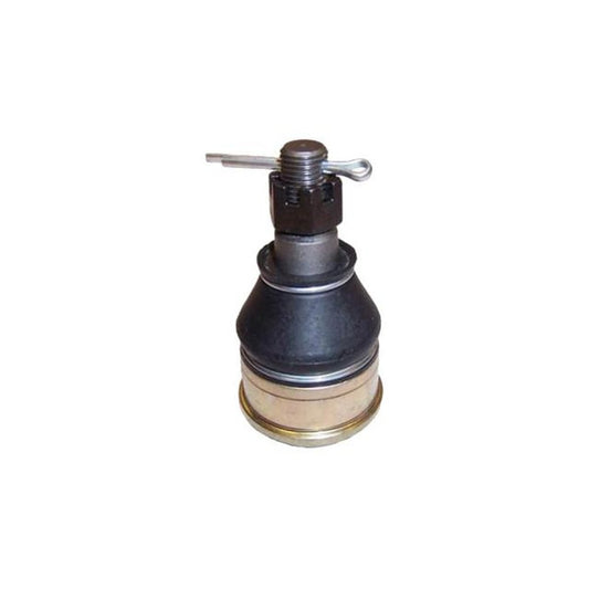 Protex Ball Joint Front Lower BJ3594