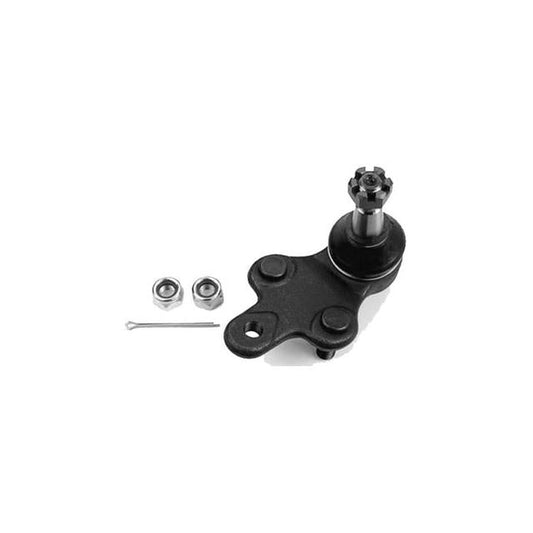 Protex Ball Joint Front RH Lower BJ551R