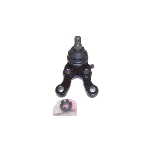 Protex Ball Joint RH Lower BJ823