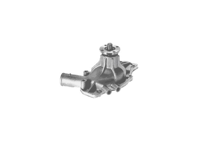 Protex Water Pump PWP1000