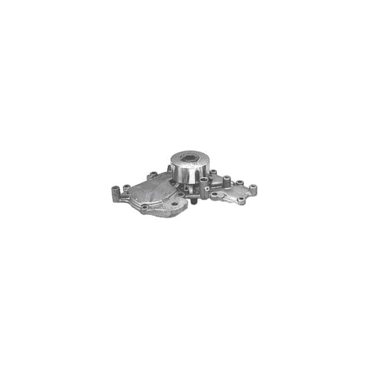 Protex Water Pump PWP2025