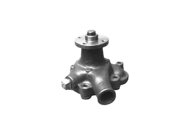 Protex Water Pump PWP220