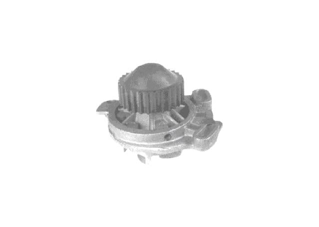 Protex Water Pump PWP2645