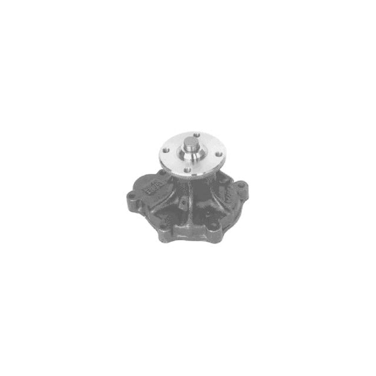 Protex Water Pump PWP3013