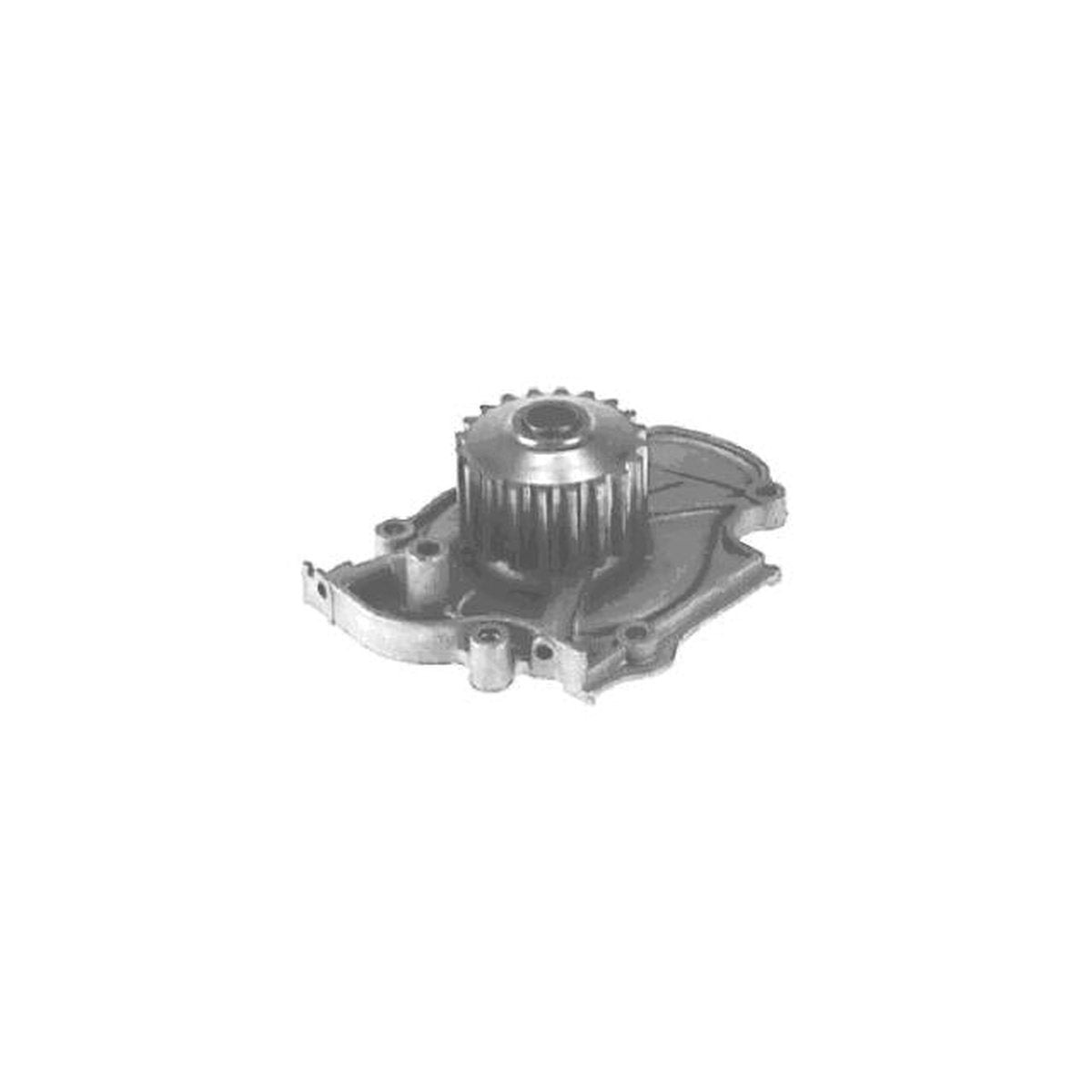 Protex Water Pump PWP3016