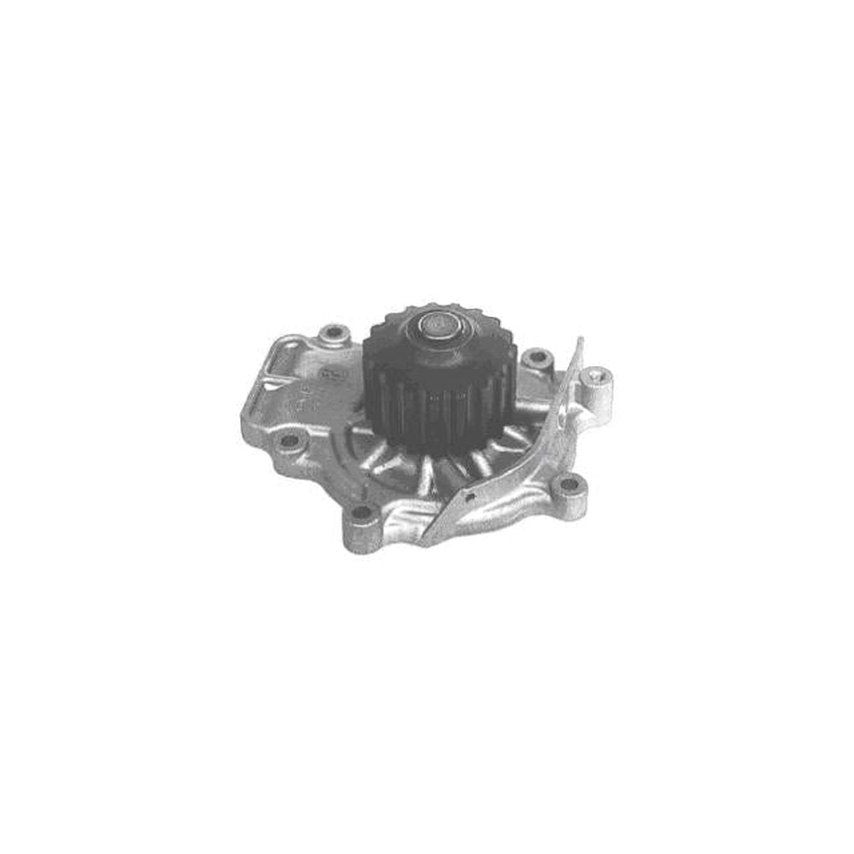 Protex Water Pump PWP3019