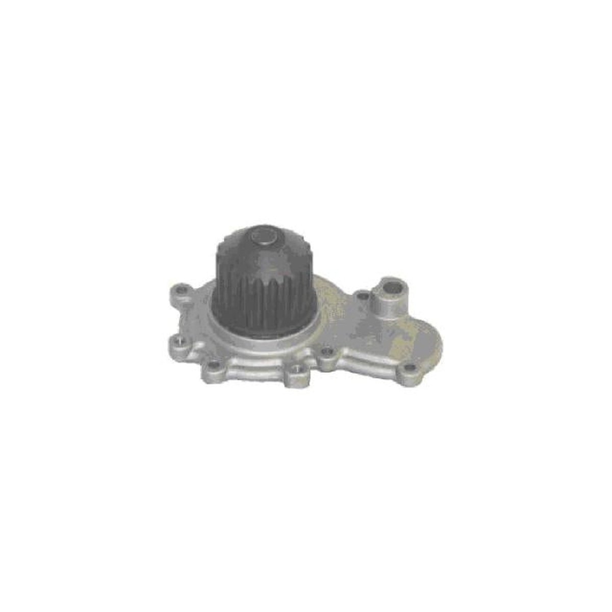 Protex Water Pump PWP3021