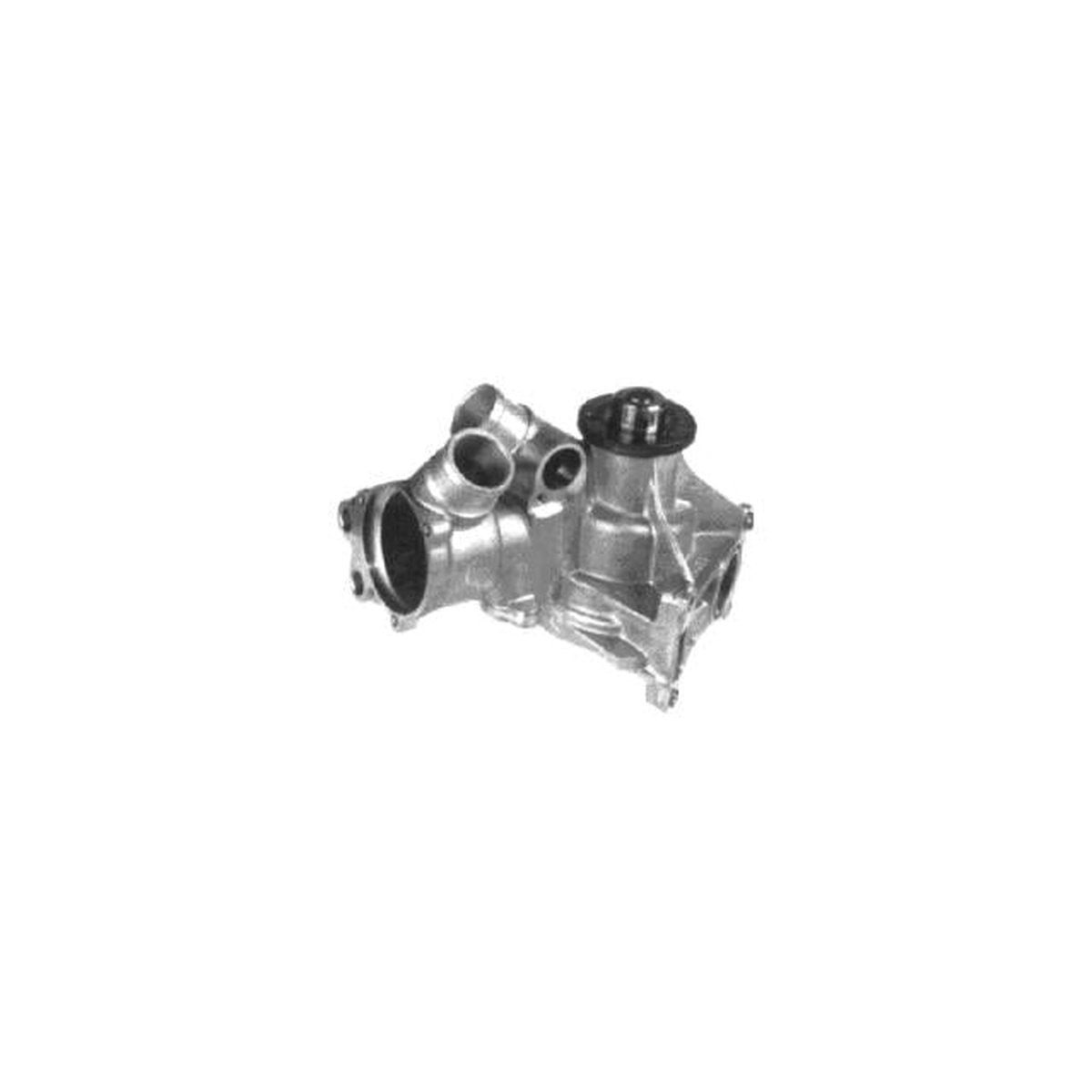 Protex Water Pump PWP3124