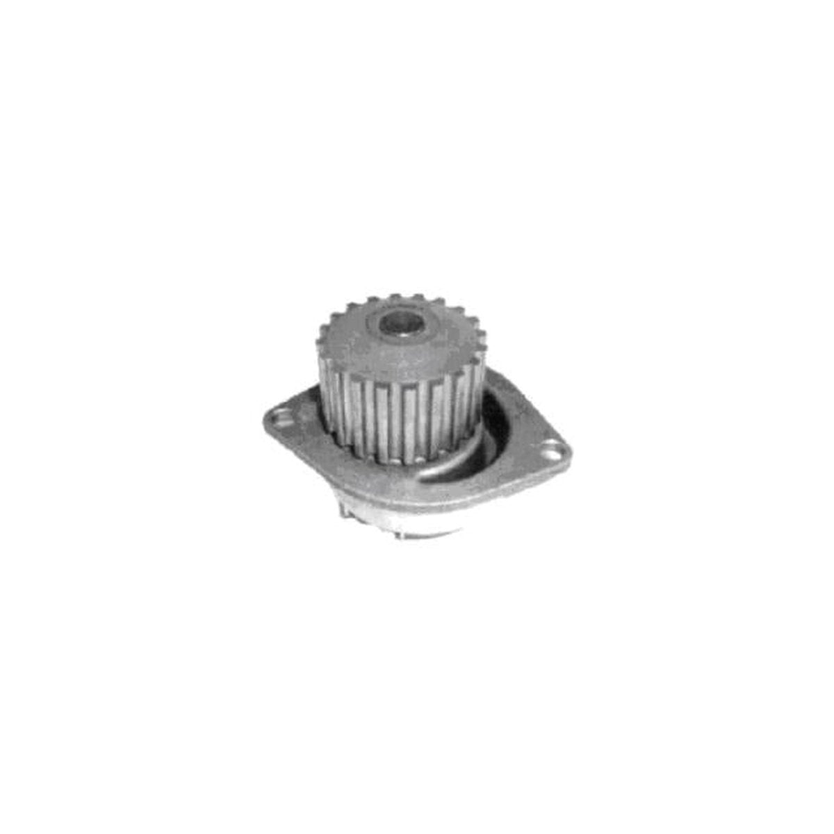 Protex Water Pump PWP4025