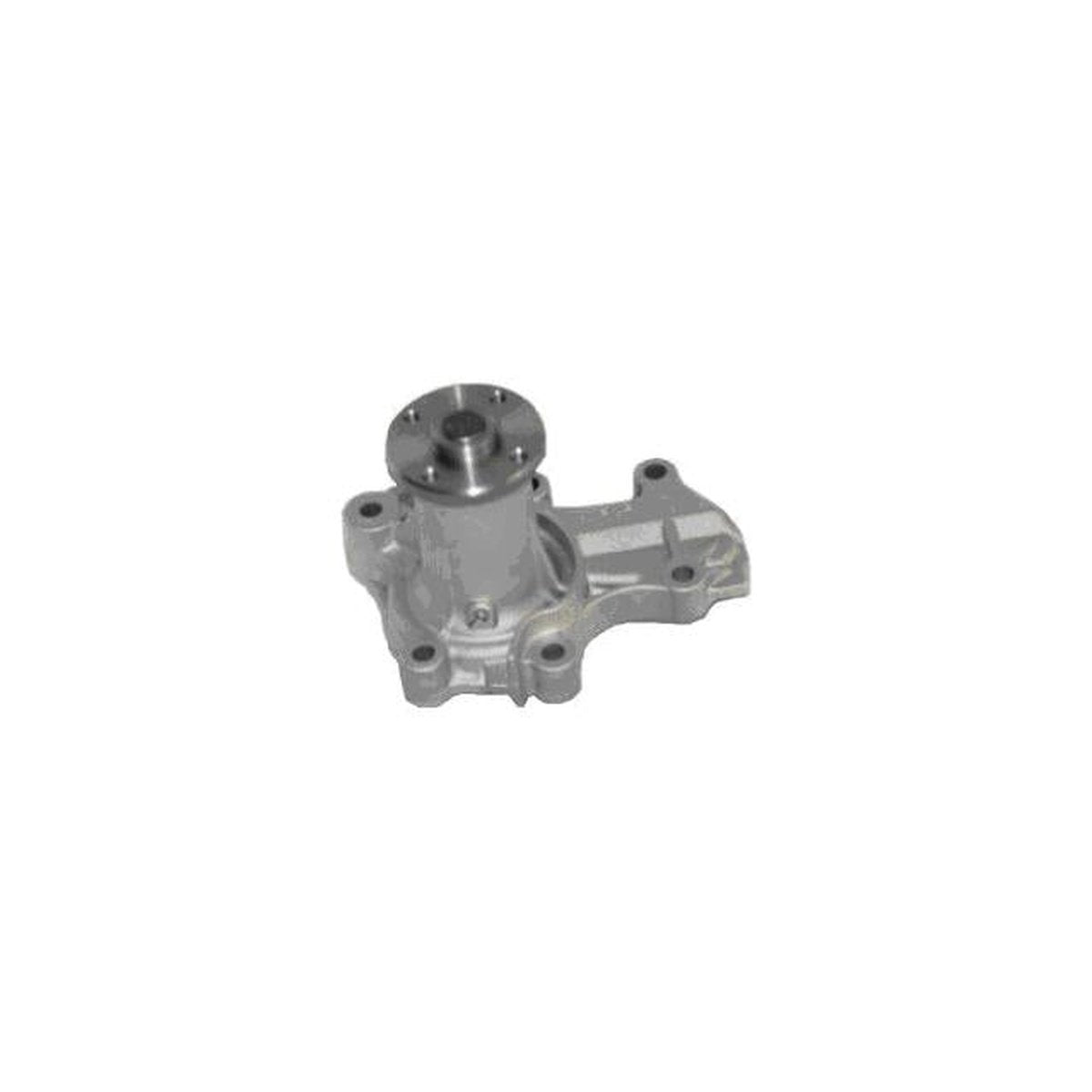 Protex Water Pump PWP7007