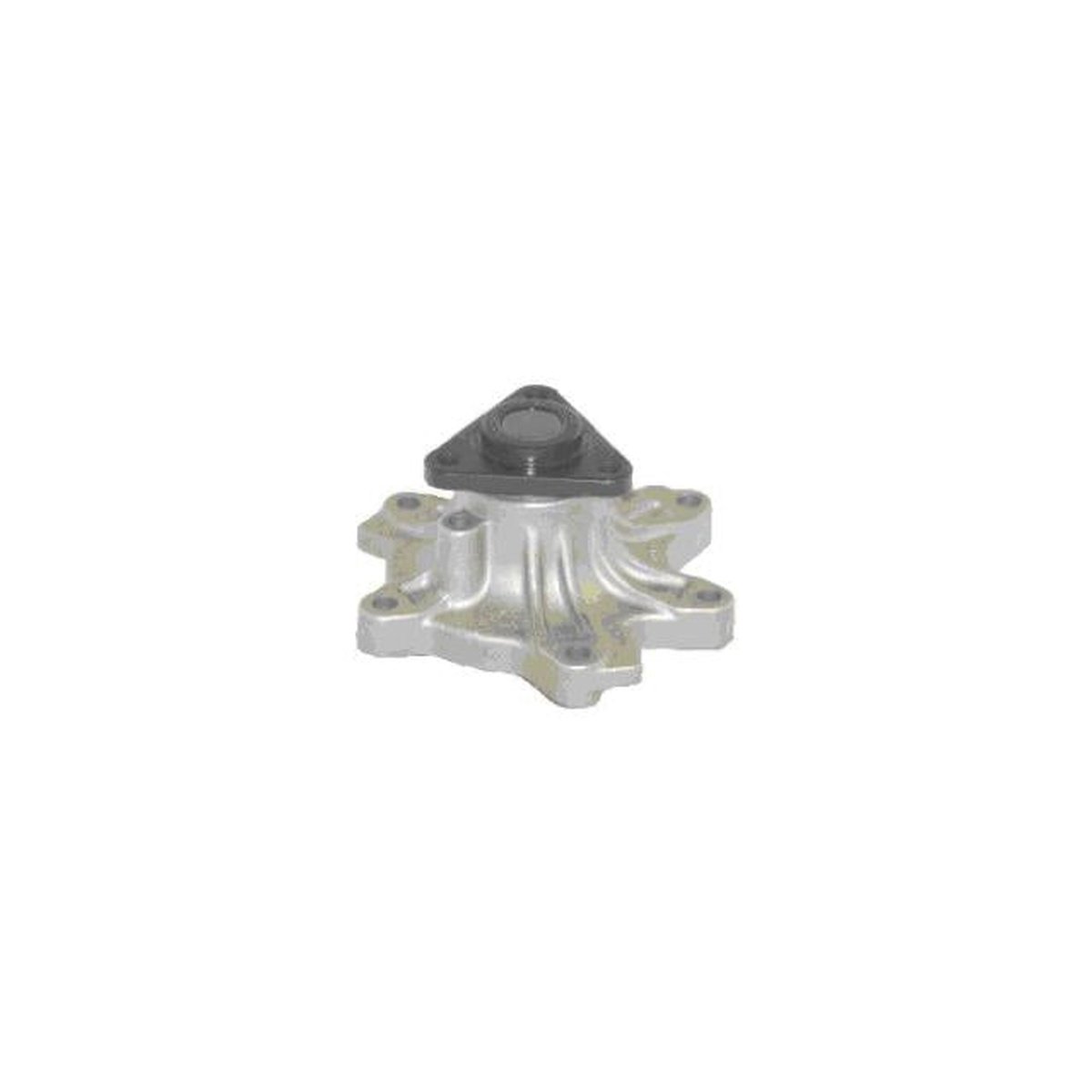 Protex Water Pump PWP7013