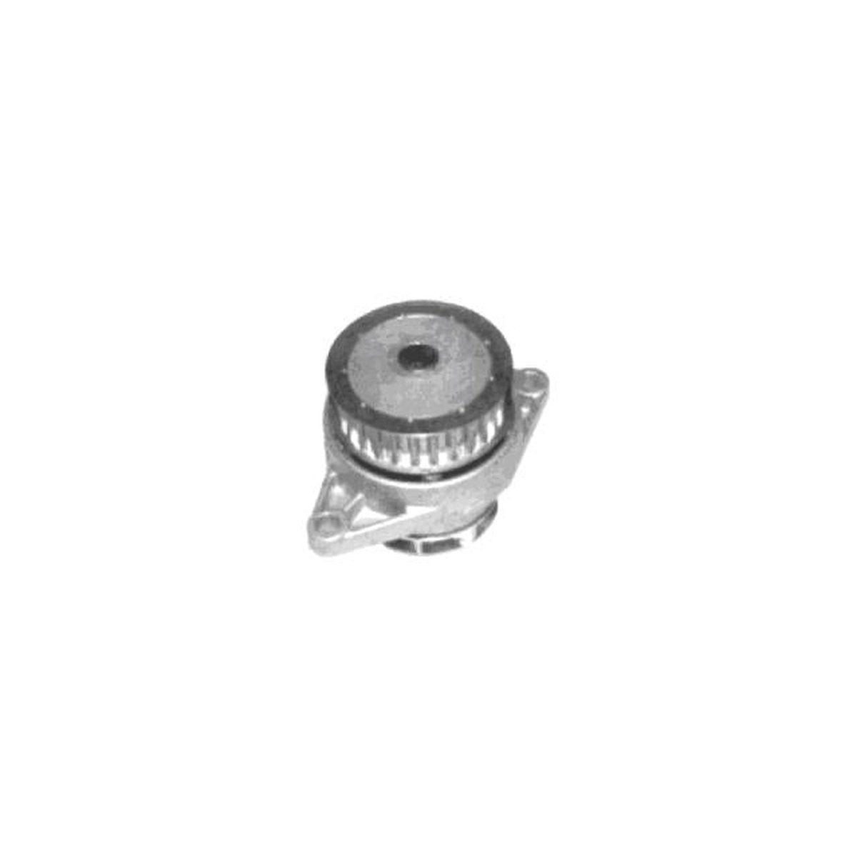 Protex Water Pump PWP7091