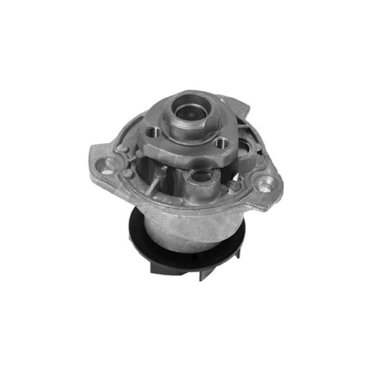 Protex Water Pump PWP8007