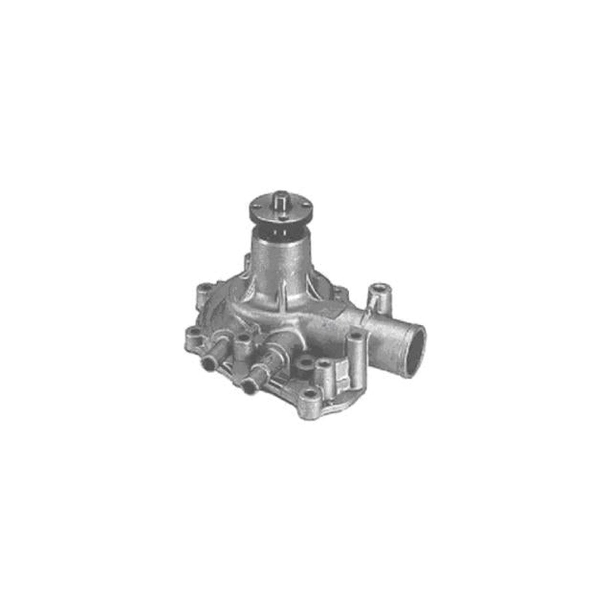 Protex Water Pump PWP807