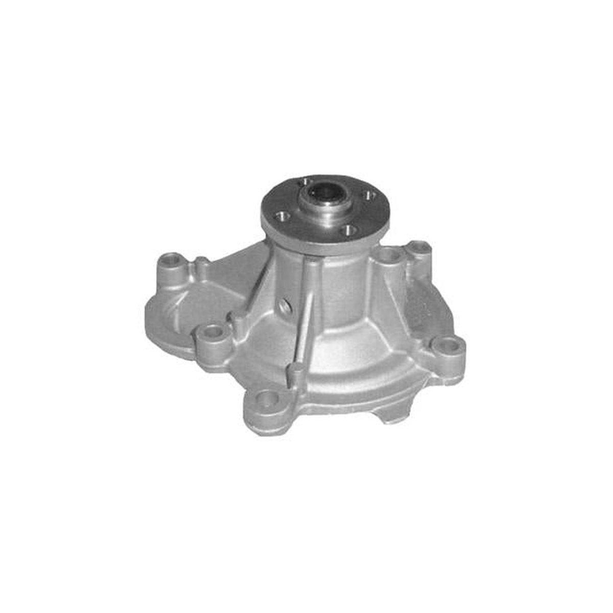 Protex Water Pump PWP8090