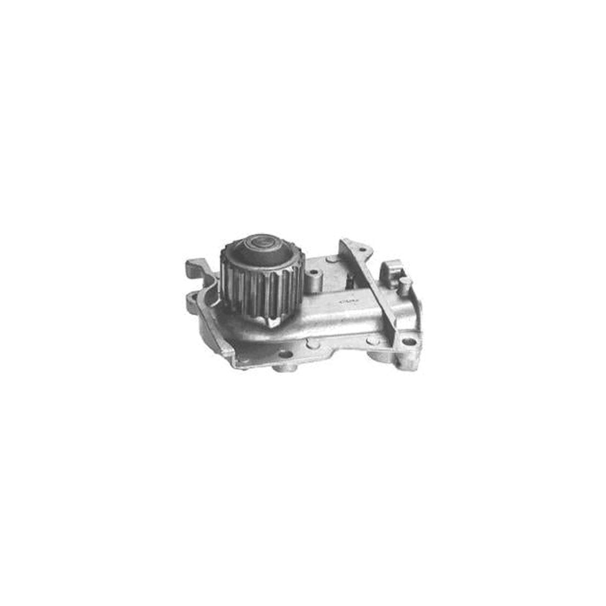 Protex Water Pump PWP893