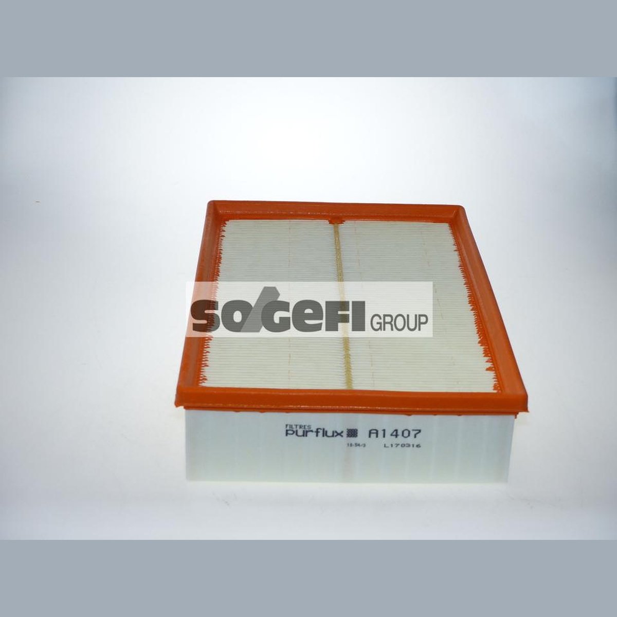 Purflux Air Filter A1407