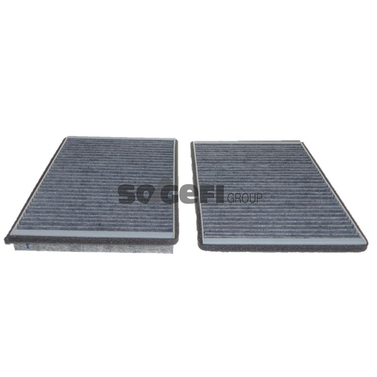 Purflux Cabin Air Filter Carbon Activated Pair AHC219-2