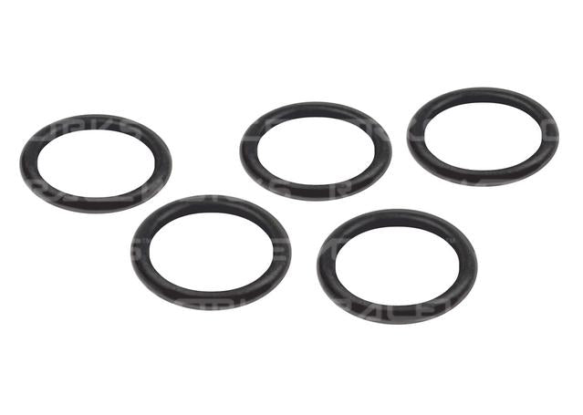 Raceworks E85 Safe O-Rings An-6 5Pk