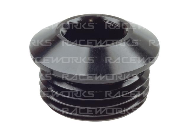 Raceworks An In Hex O-Ring Plug An-12