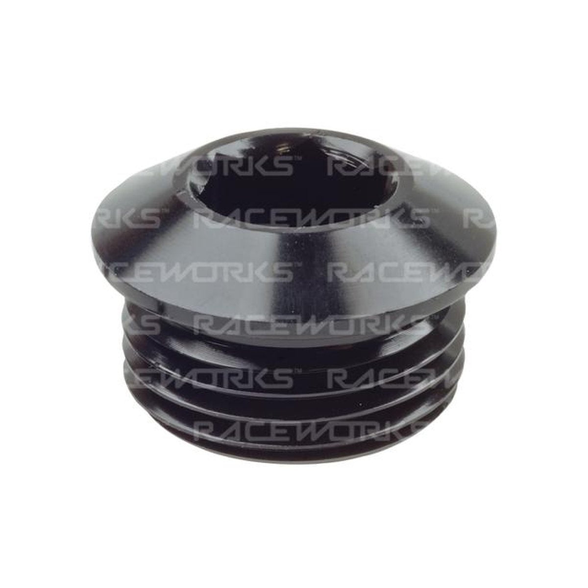 Raceworks An In Hex O-Ring Plug An-6