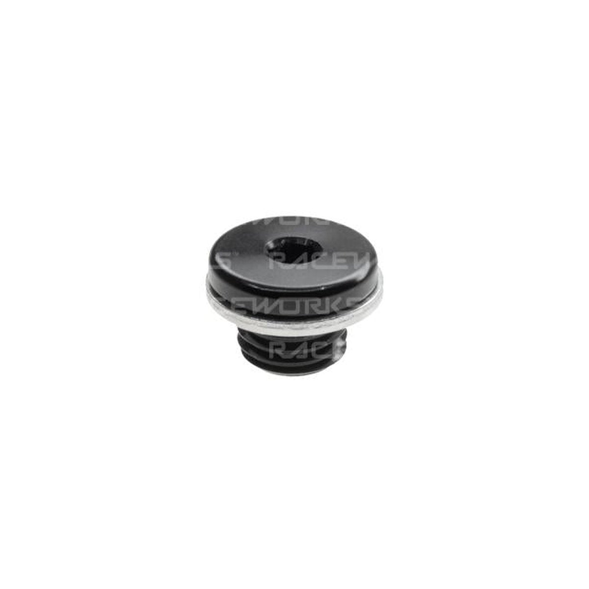 Raceworks M14x1.5 In-Hex Plug W/ Washer
