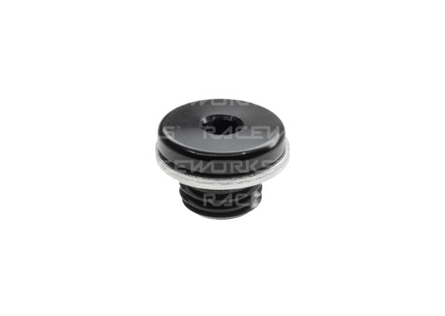 Raceworks M12x1.25 In-Hex Plug W/ Washer