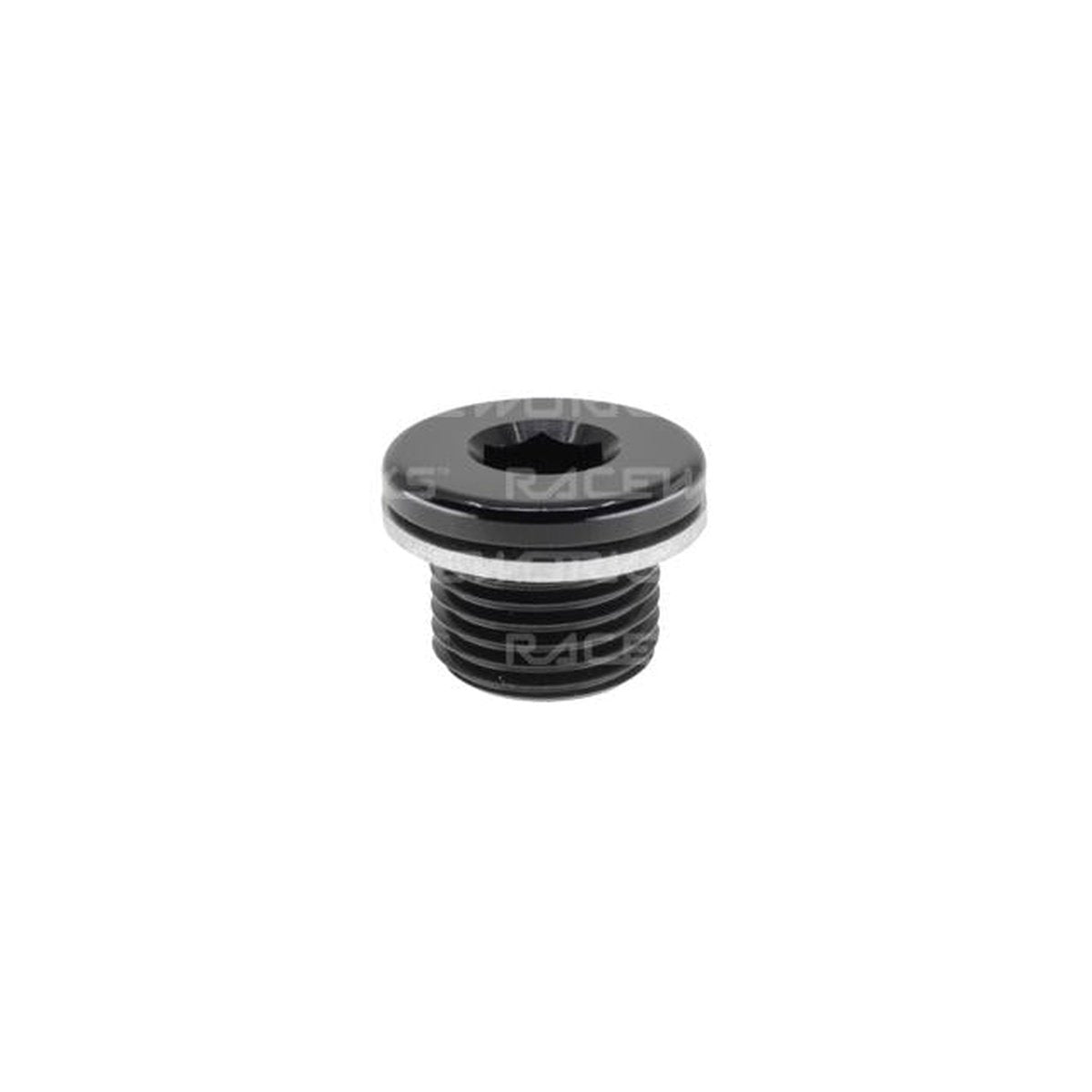 Raceworks M18x1.5 In-Hex Plug W/ Washer