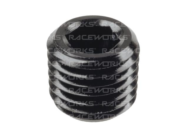 Raceworks Npt Plug 1/16"