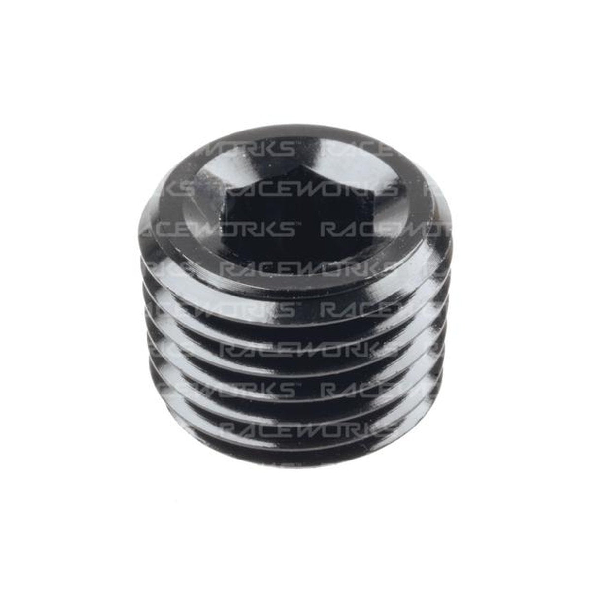 Raceworks Npt Plug 1/4"