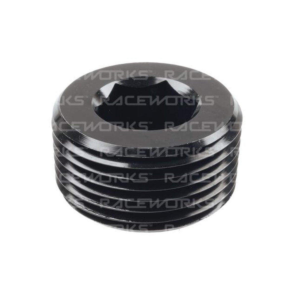 Raceworks Npt Plug 1"