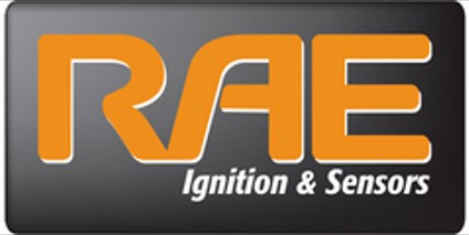 RAE Distributor O-Ring Pack 21.9x2.62mm OR05