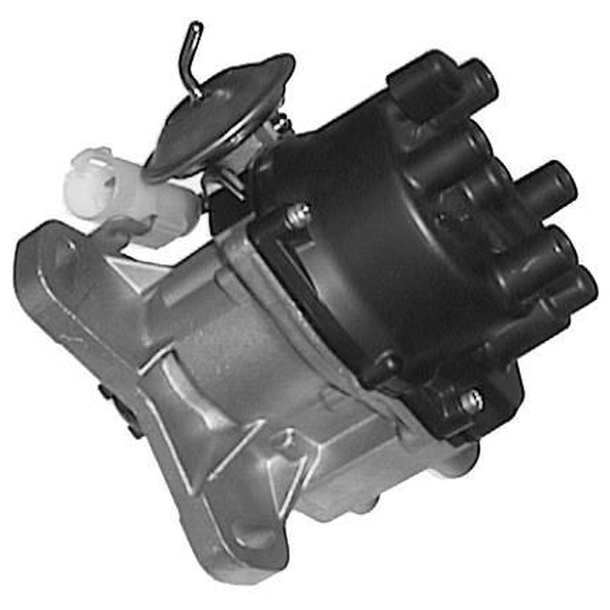 RAE Ignition Distributor DJW9007N