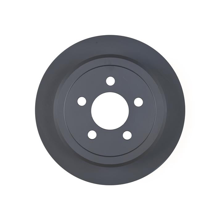 RDA OE Replacement Brake Rotor Single 316mm Rear RDA7373