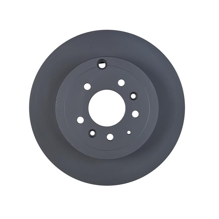 RDA OE Replacement Brake Rotor Single 325mm Rear RDA7478