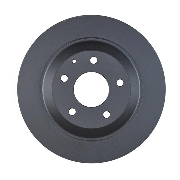 RDA OE Replacement Brake Rotor Single 303mm Rear RDA8280