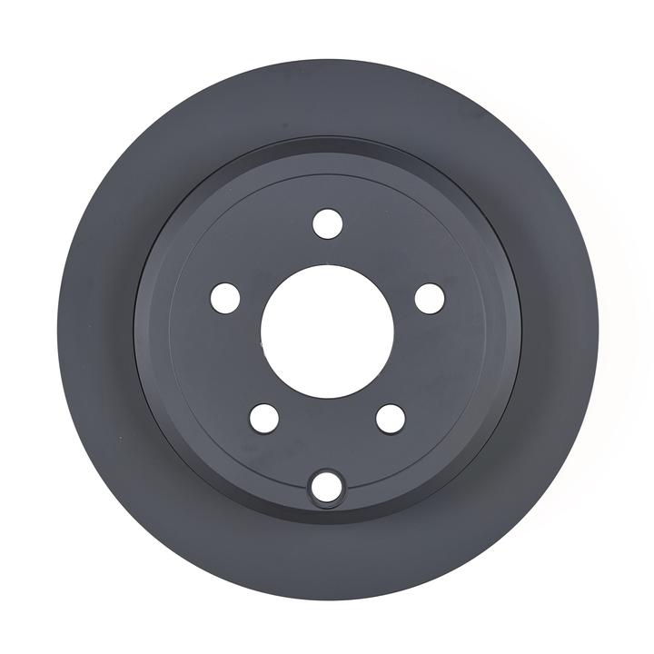 RDA OE Replacement Brake Rotor Single 303mm Rear RDA505A