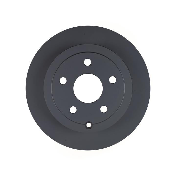 RDA OE Replacement Brake Rotor Single 302mm Rear RDA7902