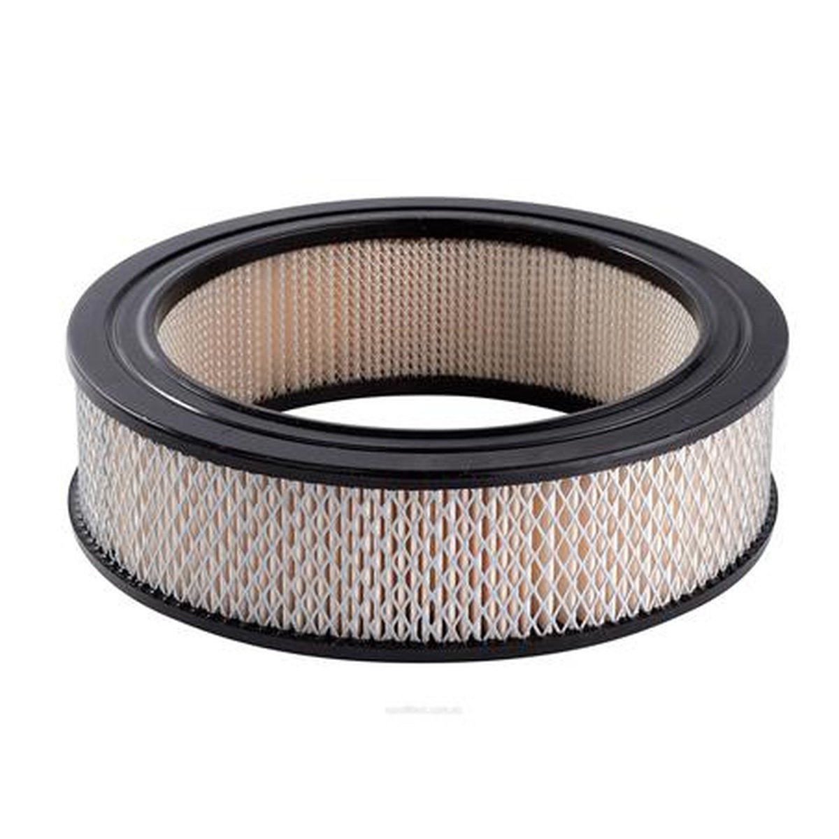 Ryco Air Filter A205