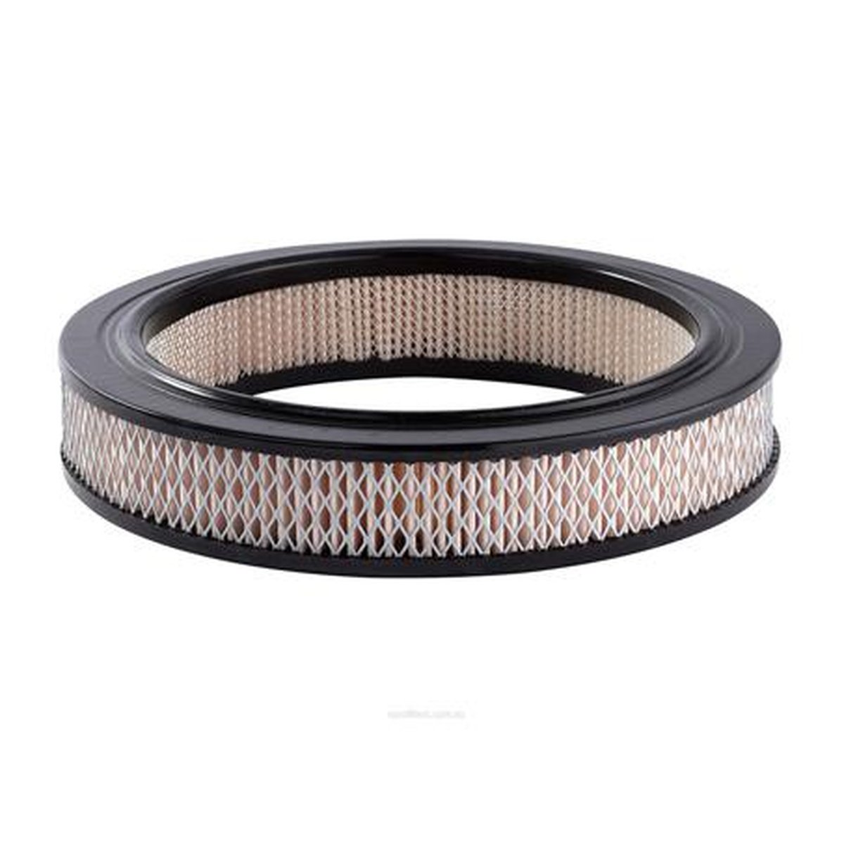 Ryco Air Filter A217