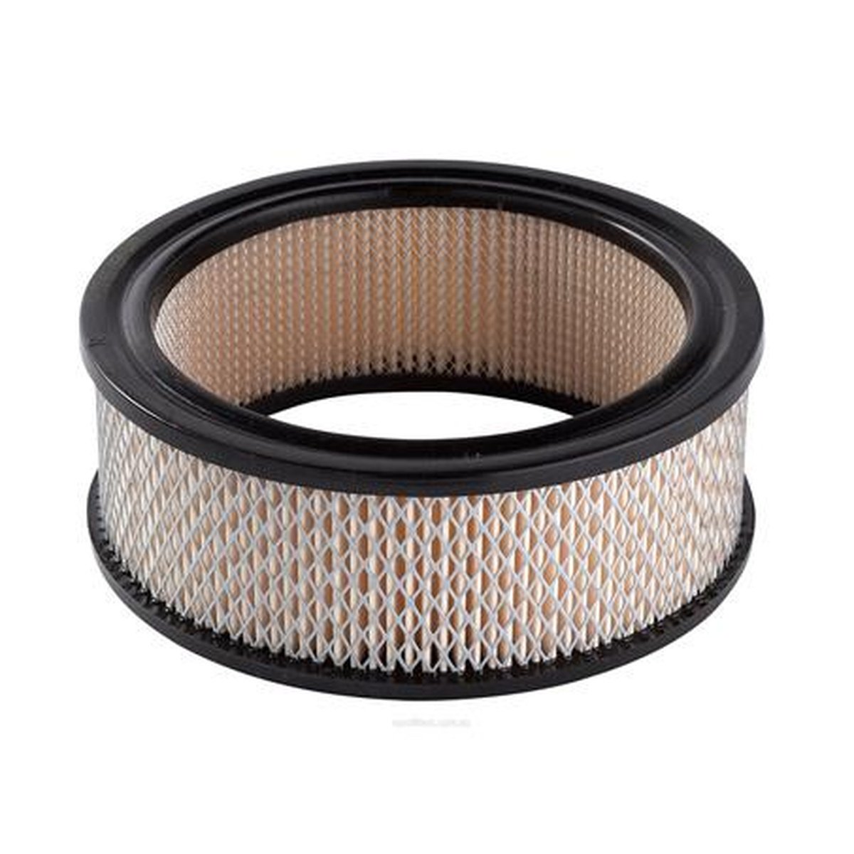 Ryco Air Filter A50