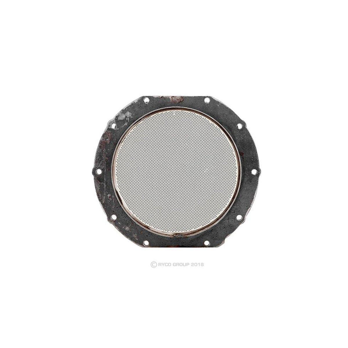 Ryco Diesel Particulate Filter RPF321