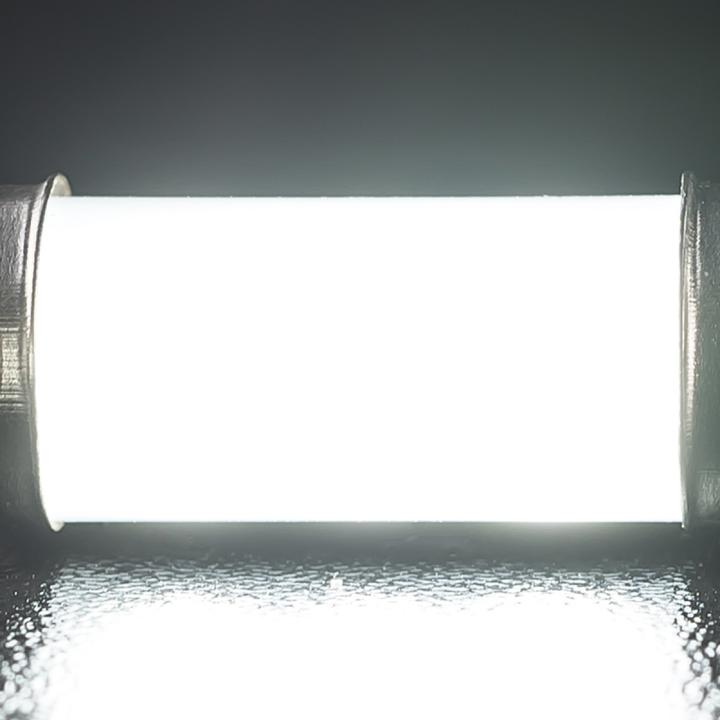 STEDI Festoon Light Globe  36mm 2 Pack LED LEDCONVSJ36MM