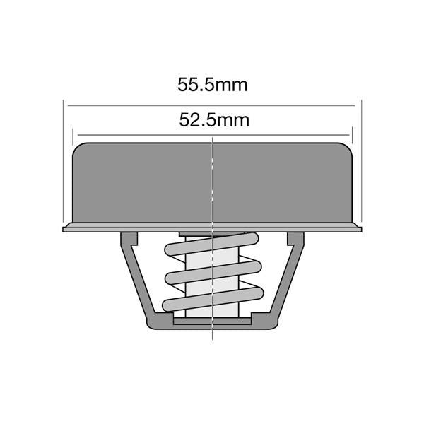 Tridon Thermostat Blister Pack TT238-160